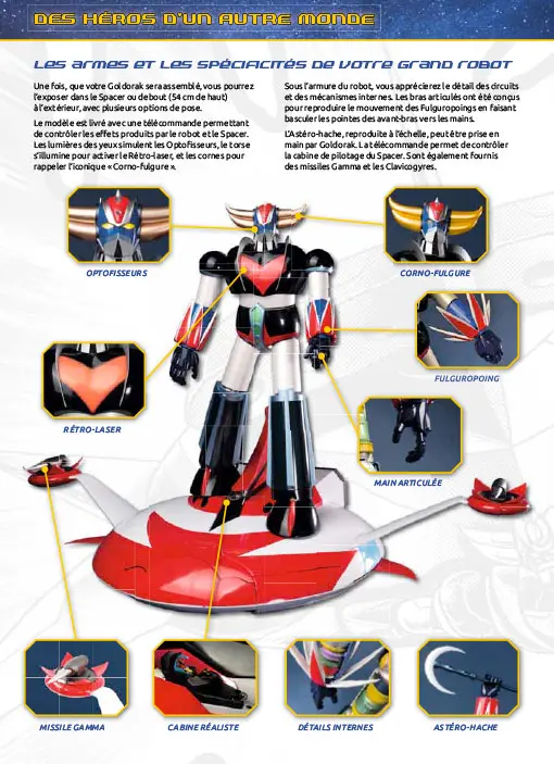LE N°1 : Le fasicule